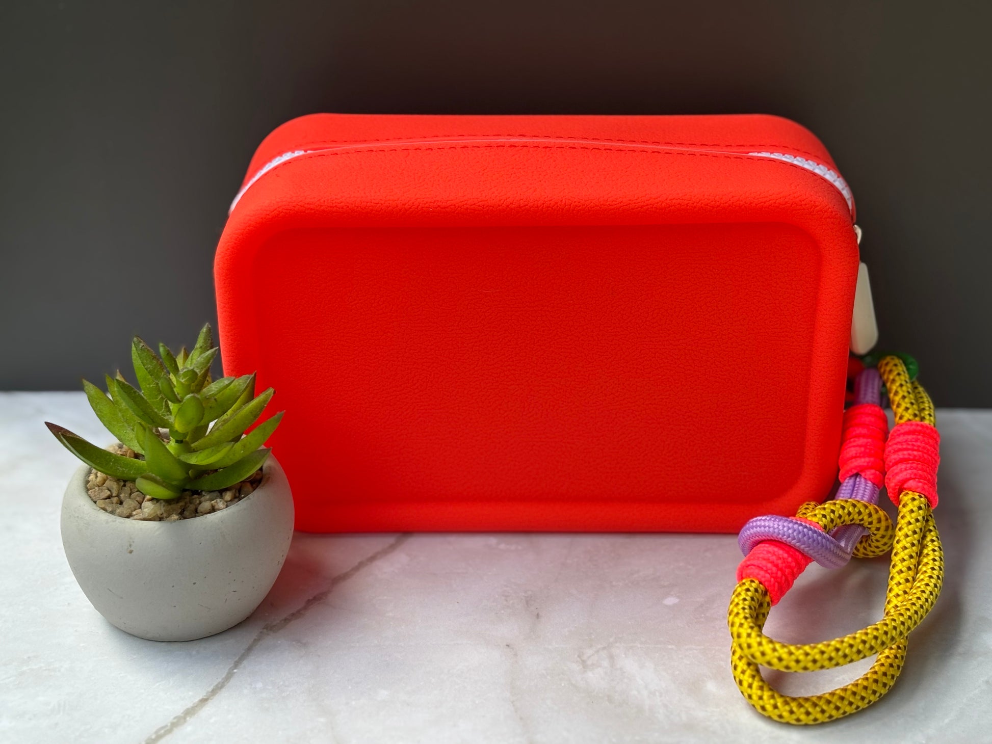 Silicone Makeup Bag